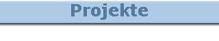 Projekte